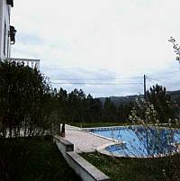 Piscica